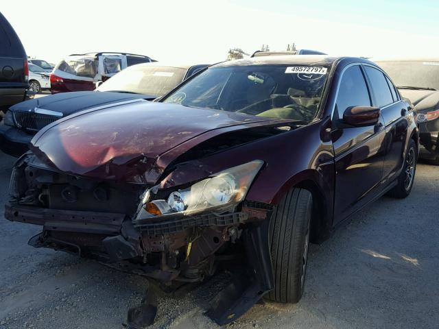 1HGCP26348A149041 - 2008 HONDA ACCORD LX MAROON photo 2