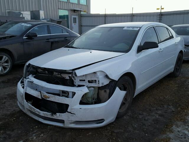 1G1ZG57B29F168779 - 2009 CHEVROLET MALIBU LS WHITE photo 2