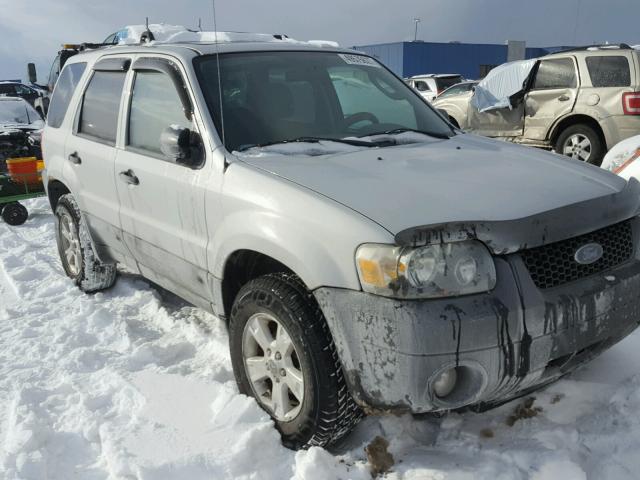 1FMYU03175KA52549 - 2005 FORD ESCAPE XLT SILVER photo 1