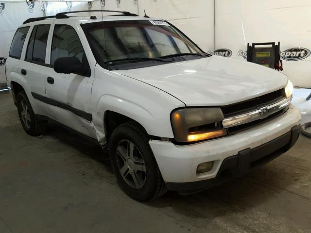 1GNDS13S052304317 - 2005 CHEVROLET TRAILBLAZE WHITE photo 1