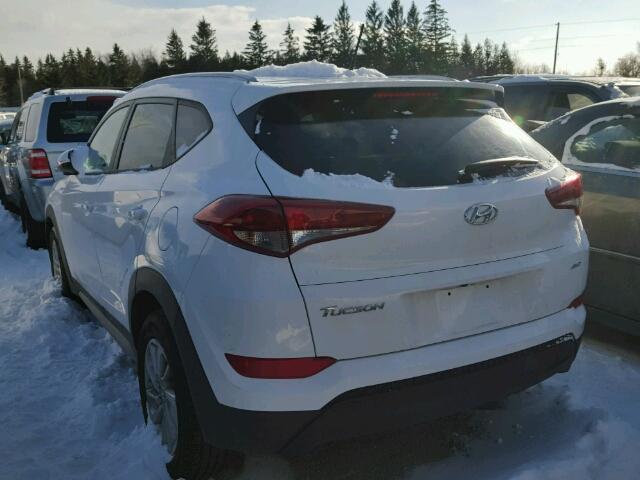 KM8J3CA48HU374466 - 2017 HYUNDAI TUCSON LIM WHITE photo 3