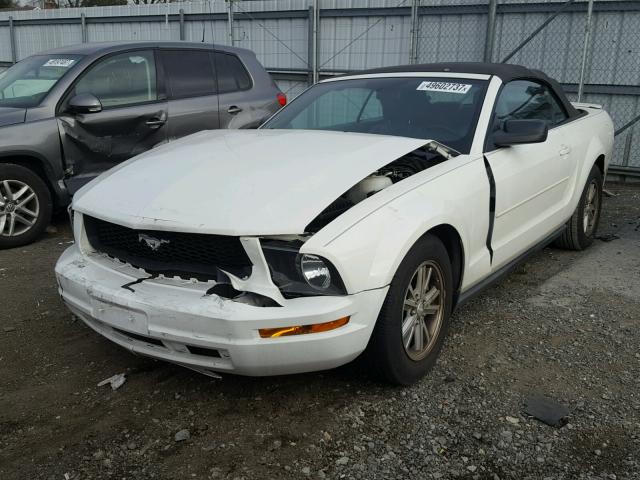 1ZVHT84N585204982 - 2008 FORD MUSTANG WHITE photo 2