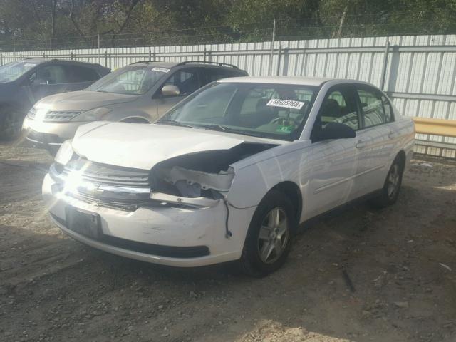 1G1ZT52855F184296 - 2005 CHEVROLET MALIBU LS 白色 照片 2