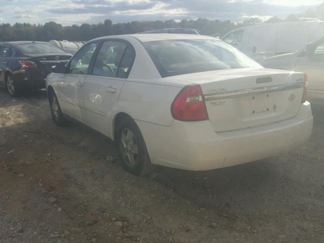 1G1ZT52855F184296 - 2005 CHEVROLET MALIBU LS 白色 照片 3