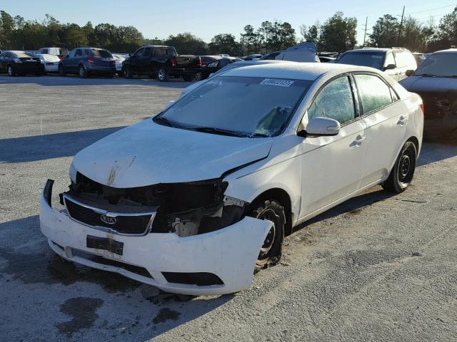 KNAFU4A23A5880408 - 2010 KIA FORTE EX WHITE photo 2