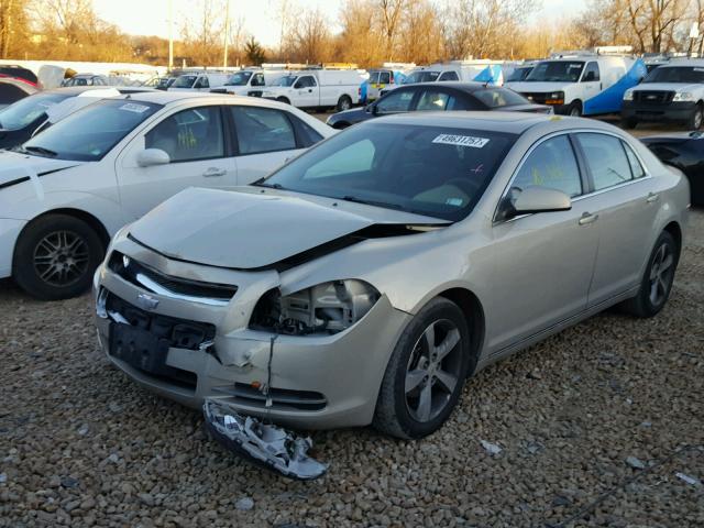 1G1ZC5E11BF284230 - 2011 CHEVROLET MALIBU 1LT 金色 照片 2