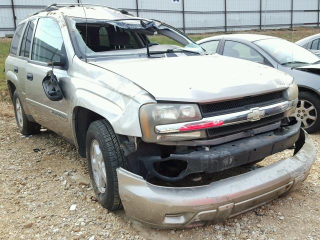 1GNDT13S522395156 - 2002 CHEVROLET TRAILBLAZE TAN photo 1