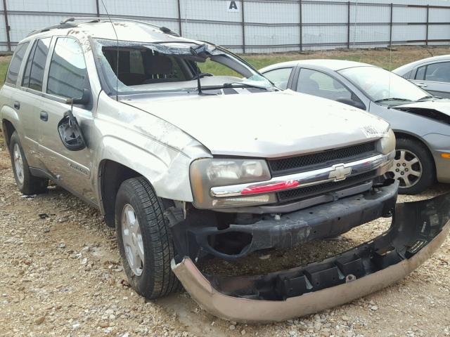 1GNDT13S522395156 - 2002 CHEVROLET TRAILBLAZE TAN photo 10