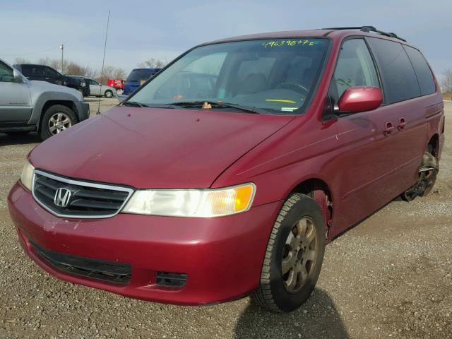 5FNRL18993B067371 - 2003 HONDA ODYSSEY EX RED photo 2