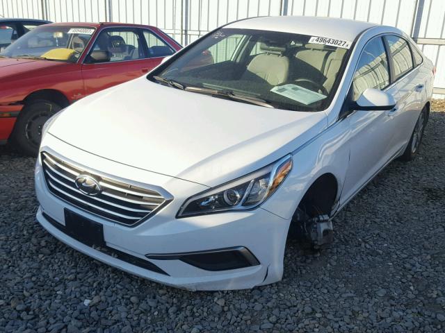 5NPE24AFXGH393447 - 2016 HYUNDAI SONATA SE WHITE photo 2