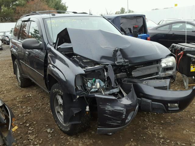 1GNDT13S952341153 - 2005 CHEVROLET TRAILBLAZE BLUE photo 1