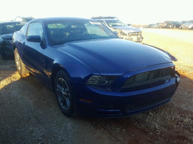1ZVBP8AM9D5274243 - 2013 FORD MUSTANG BLUE photo 1