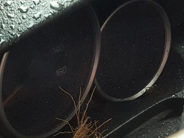 JH4KB16678C001532 - 2008 ACURA RL შავი ფოტო 8