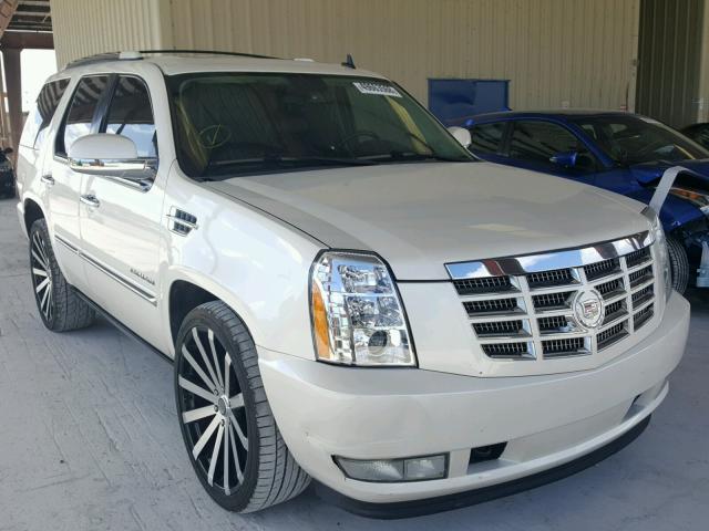 1GYUKCEF4AR259589 - 2010 CADILLAC ESCALADE P WHITE photo 1