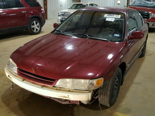 1HGCD5633TA302303 - 1996 HONDA ACCORD LX MAROON photo 2