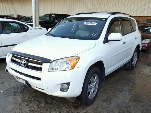 JTMZF4DV2AD024569 - 2010 TOYOTA RAV4 WHITE photo 2