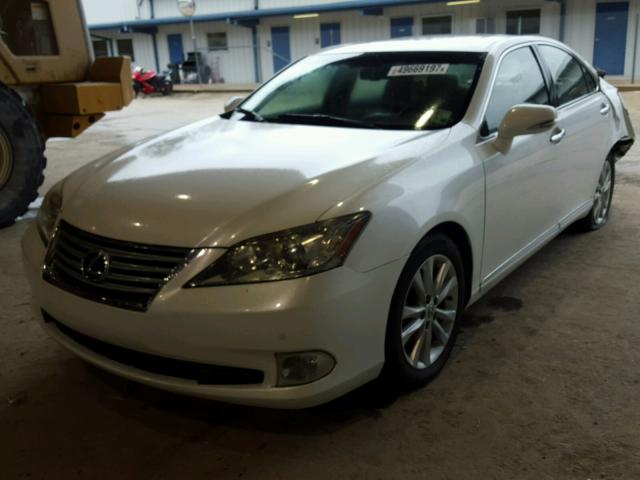 JTHBK1EGXA2346446 - 2010 LEXUS ES 350 WHITE photo 2