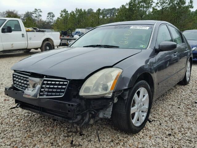 1N4BA41E55C857742 - 2005 NISSAN MAXIMA SE GRAY photo 2