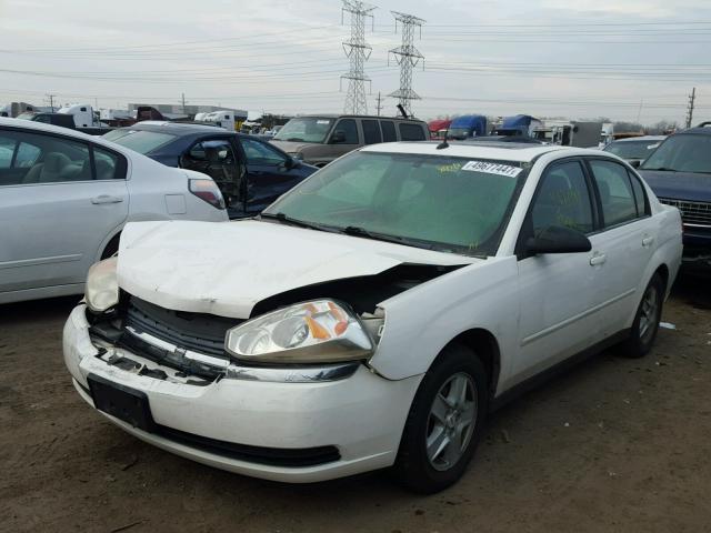 1G1ZT54845F251029 - 2005 CHEVROLET MALIBU LS 白色 照片 2