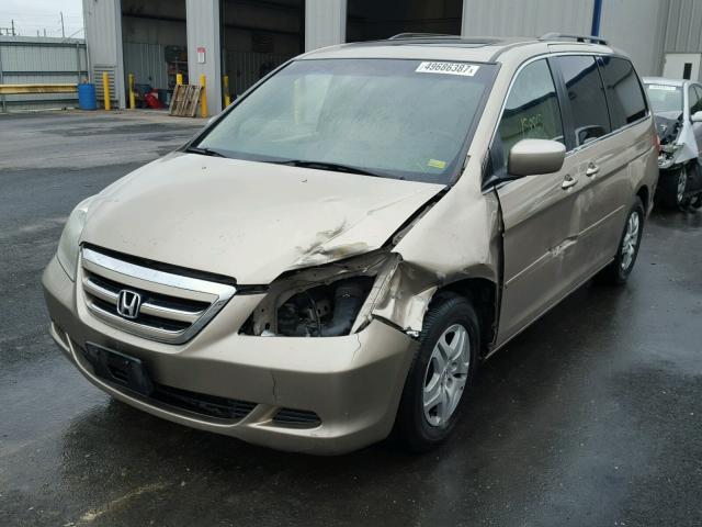 5FNRL38665B405524 - 2005 HONDA ODYSSEY EX GOLD photo 2