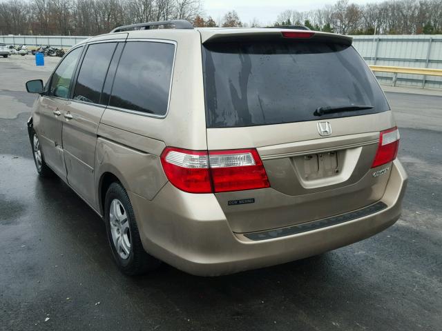 5FNRL38665B405524 - 2005 HONDA ODYSSEY EX GOLD photo 3