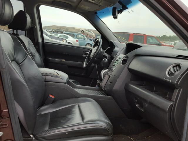 5FNYF48659B056175 - 2009 HONDA PILOT EXL BURGUNDY photo 5