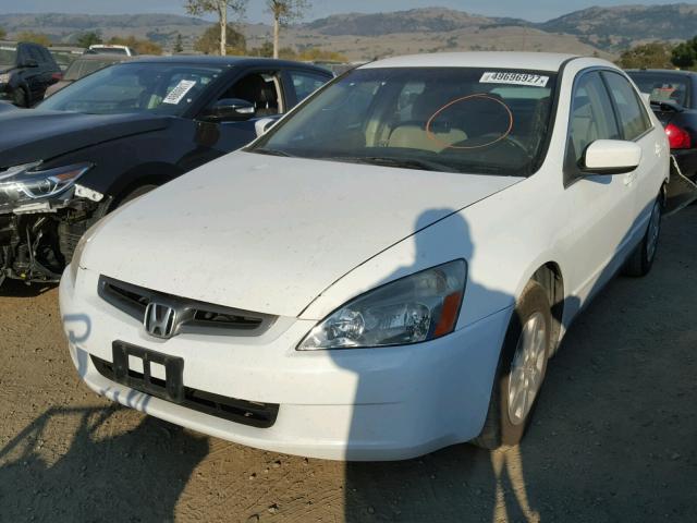 JHMCM56334C032699 - 2004 HONDA ACCORD LX WHITE photo 2