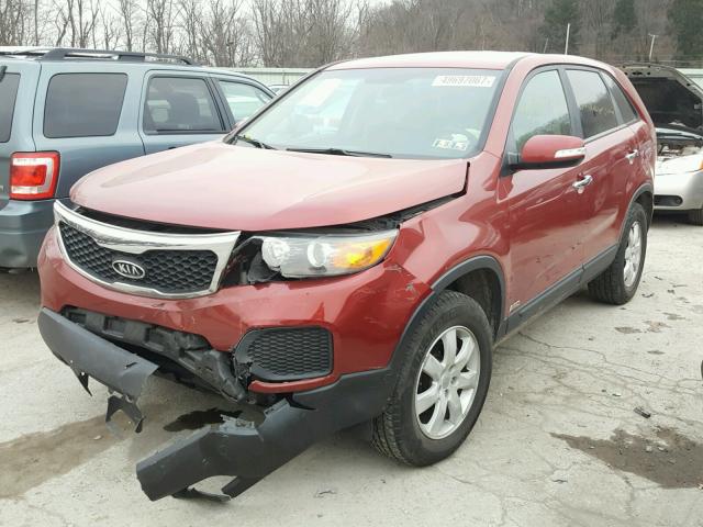 5XYKTCA19BG008443 - 2011 KIA SORENTO BA BURGUNDY photo 2