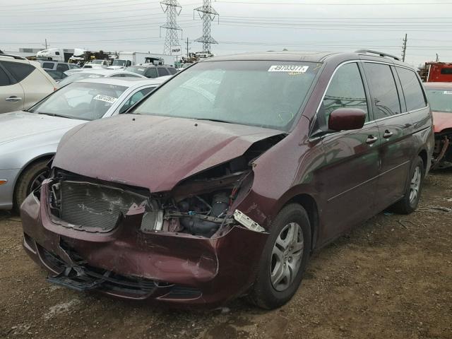 5FNRL38767B140521 - 2007 HONDA ODYSSEY EX PURPLE photo 2