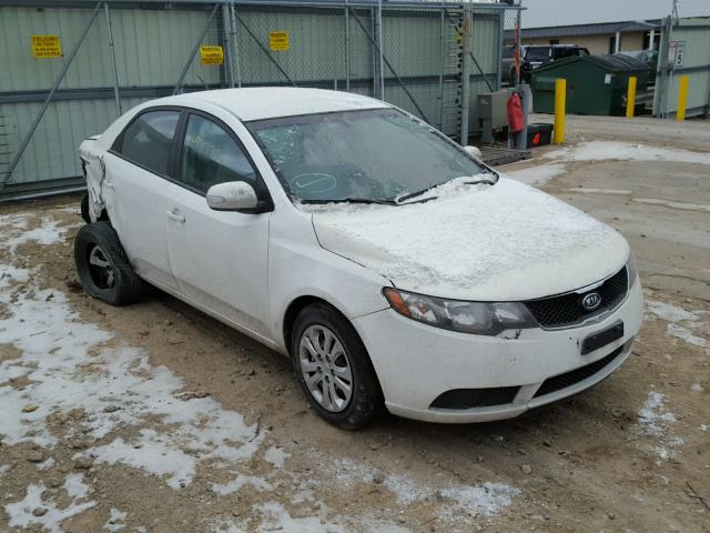 KNAFU4A25A5068009 - 2010 KIA FORTE EX WHITE photo 1