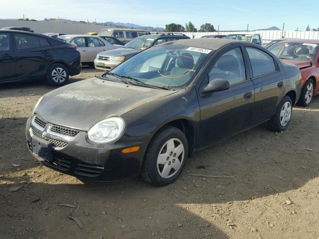 1B3ES26C35D116677 - 2005 DODGE NEON BASE BLACK photo 2