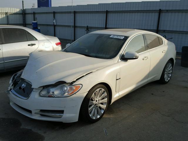 SAJWA06BX9HR10366 - 2009 JAGUAR XF PREMIUM WHITE photo 2