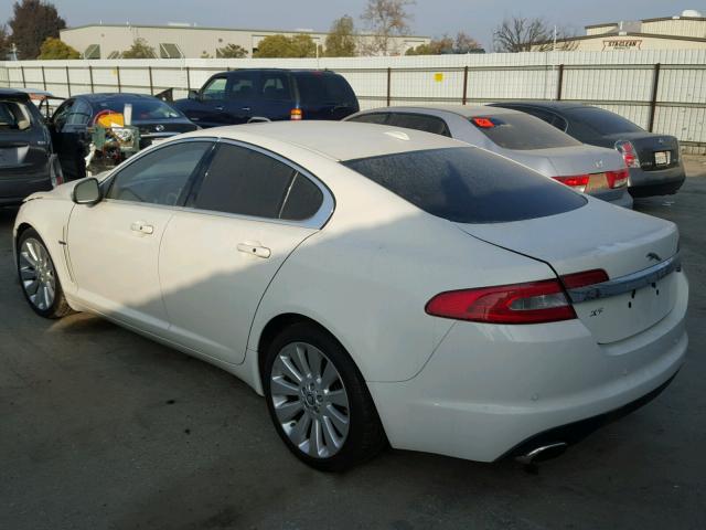 SAJWA06BX9HR10366 - 2009 JAGUAR XF PREMIUM WHITE photo 3