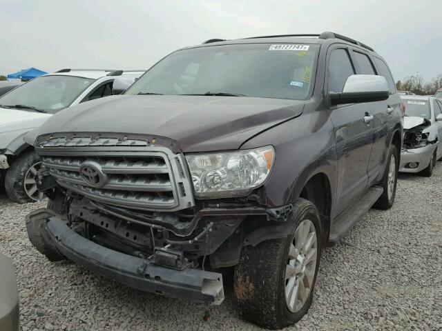 5TDDW5G16CS059048 - 2012 TOYOTA SEQUOIA PL PURPLE photo 2