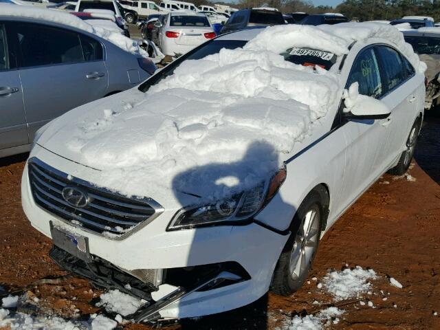 5NPE24AF7FH068995 - 2015 HYUNDAI SONATA SE WHITE photo 2