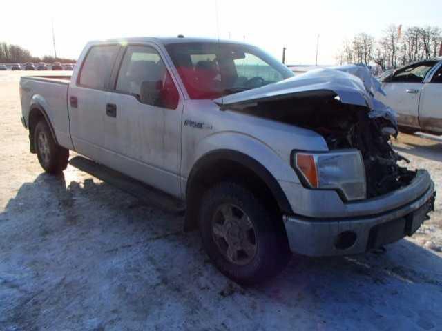 1FTFW1EF8EFA52184 - 2014 FORD F150 SUPER SILVER photo 1