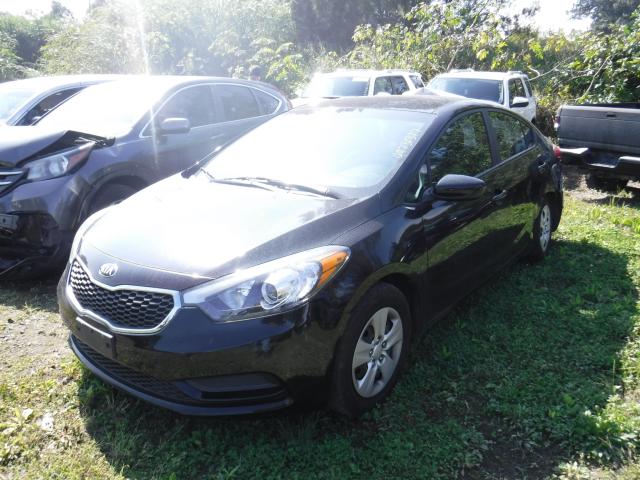 KNAFK4A6XF5425006 - 2015 KIA FORTE LX BLACK photo 2