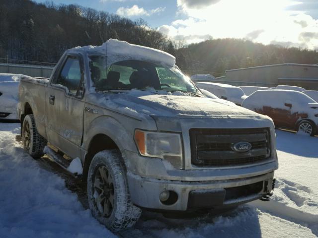 1FTMF1EF4DFA78397 - 2013 FORD F150 SILVER photo 1