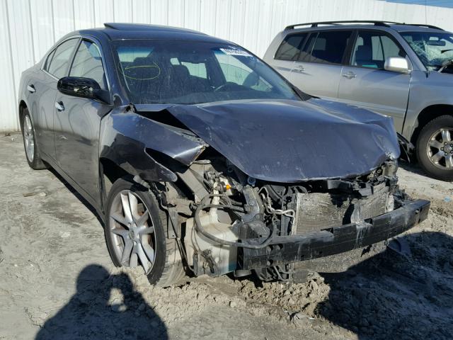 1N4AA5AP7BC810386 - 2011 NISSAN MAXIMA S GRAY photo 1