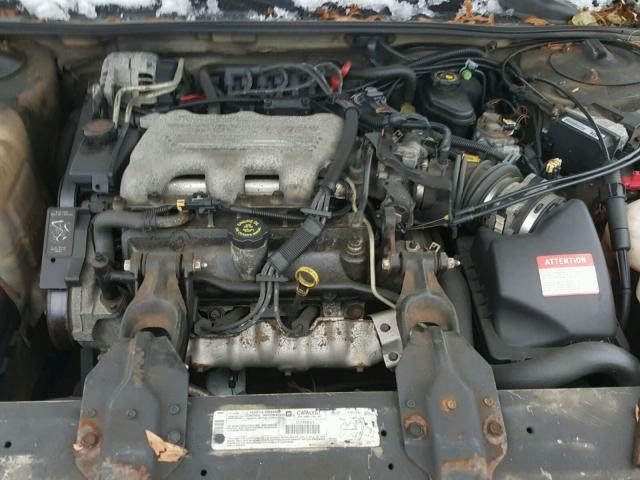 2G1WL52M0W9132889 - 1998 CHEVROLET LUMINA BAS თაფლისფერი ფოტო 7