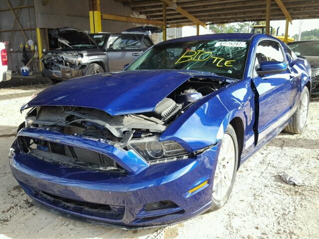 1ZVBP8AM9E5319277 - 2014 FORD MUSTANG BLUE photo 2