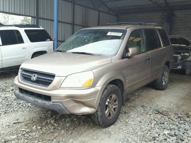 2HKYF18433H542988 - 2003 HONDA PILOT EX GOLD photo 2