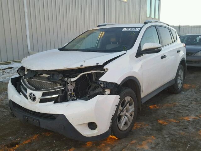 2T3BFREV8DW027450 - 2013 TOYOTA RAV4 LE WHITE photo 2