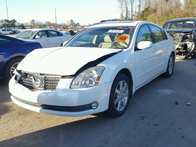 1N4BA41E34C851601 - 2004 NISSAN MAXIMA SE WHITE photo 2