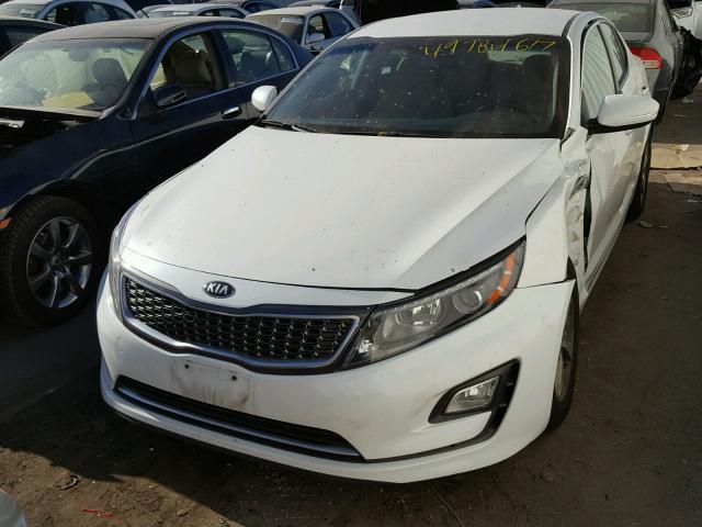 KNAGM4AD7F5082104 - 2015 KIA OPTIMA HYB WHITE photo 2