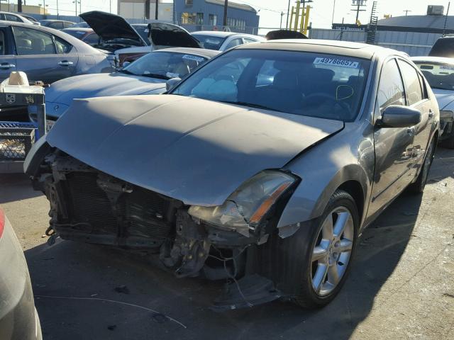 1N4BA41E64C859644 - 2004 NISSAN MAXIMA SE GOLD photo 2