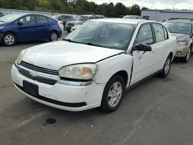 1G1ZT54825F175133 - 2005 CHEVROLET MALIBU LS Ağ foto 2