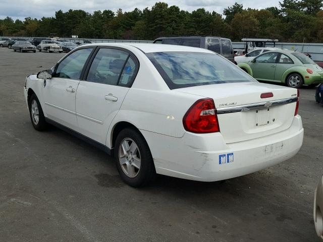 1G1ZT54825F175133 - 2005 CHEVROLET MALIBU LS Ağ foto 3