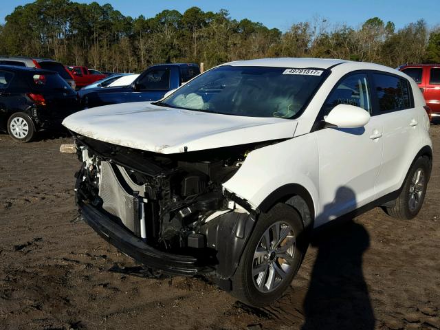 KNDPB3AC8G7813574 - 2016 KIA SPORTAGE L WHITE photo 2