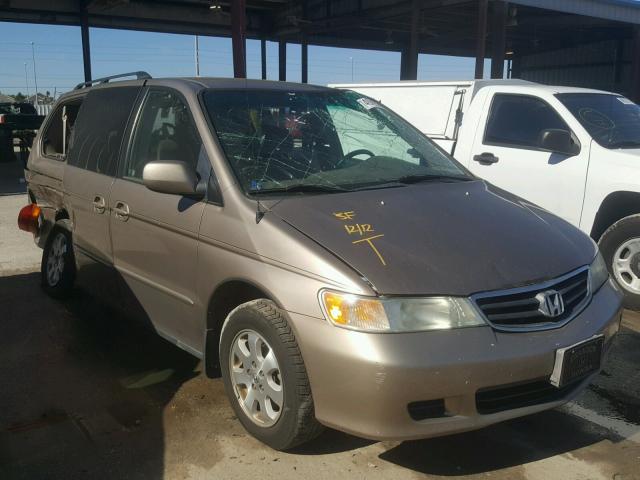 5FNRL18854B148733 - 2004 HONDA ODYSSEY EX GOLD photo 1